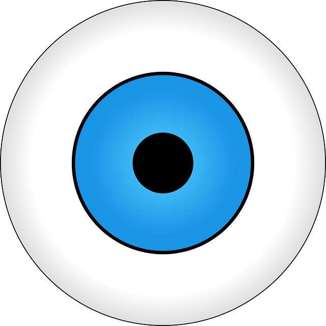 眼睛 眼球 想象 - 免费矢量图形