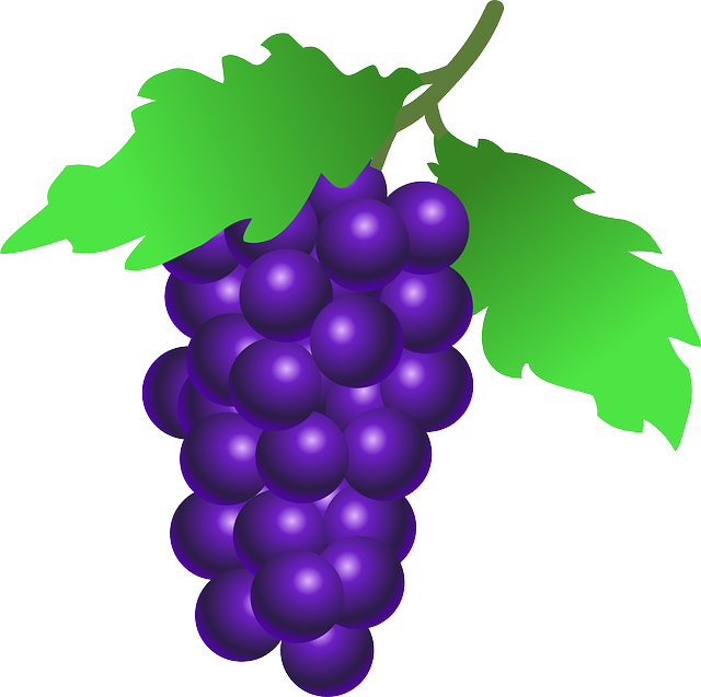 葡萄 水果 食物 - 免费矢量图形