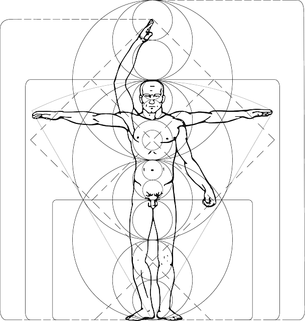 男人 莱昂纳多 芬奇 - 免费矢量图形