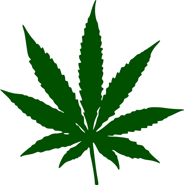 大麻 叶子 药品 - 免费矢量图形