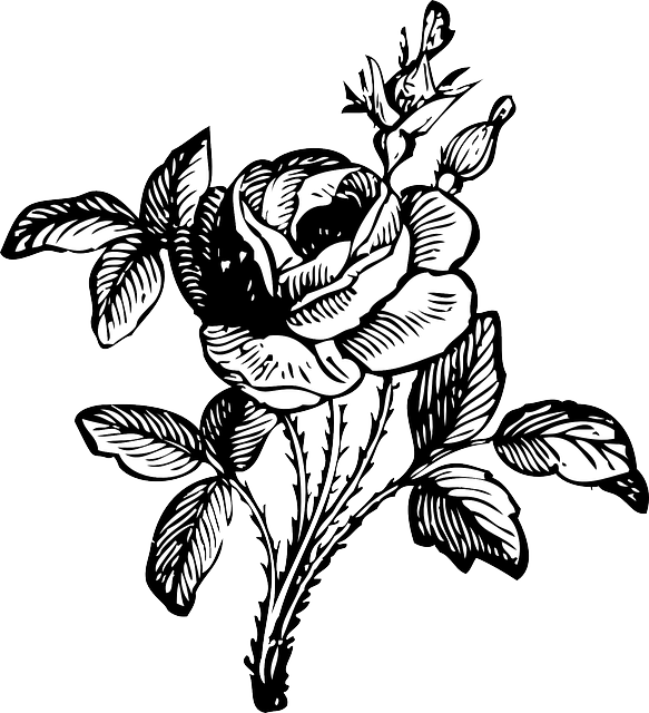玫瑰 黑和白 花的 - 免费矢量图形