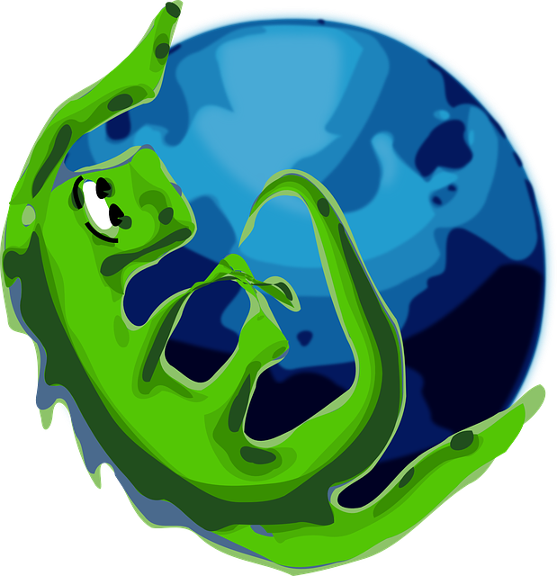 K-Meleon 浏览器 网络 - 免费矢量图形