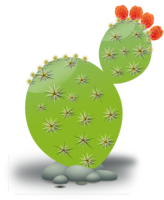 仙人掌 绿色 沙漠 - 免费矢量图形