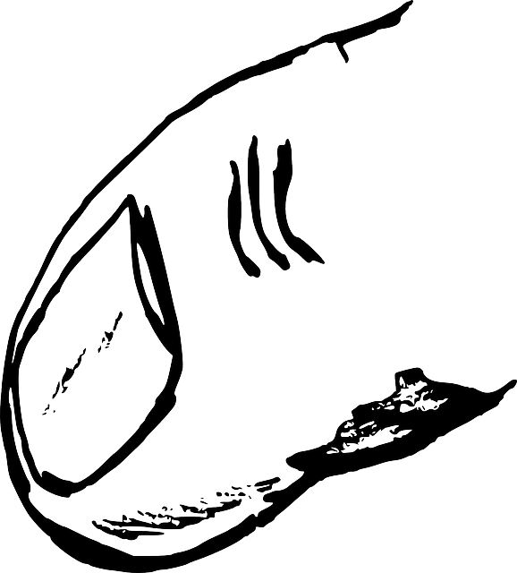 手指 指甲 黑和白 - 免费矢量图形