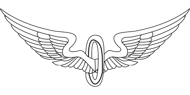 翅膀 鸟的翅膀 鹰翼 - 免费矢量图形