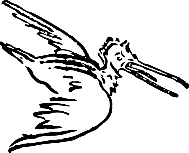 鸟 飞行 鹈 - 免费矢量图形