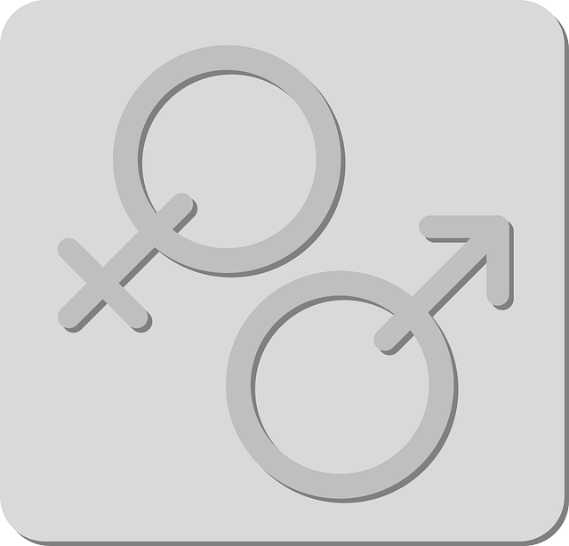 性别 女性 男性 - 免费矢量图形