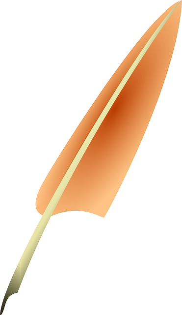 鹅毛笔 钢笔 羽毛 - 免费矢量图形