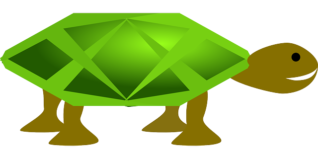 龟 绿色 动物 - 免费矢量图形