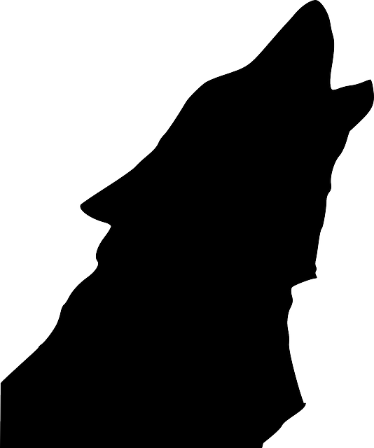狼 轮廓 头 - 免费矢量图形