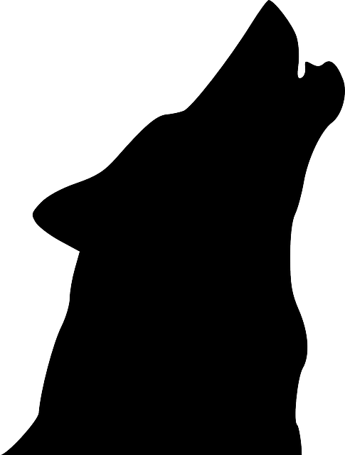 狼 头 轮廓 - 免费矢量图形