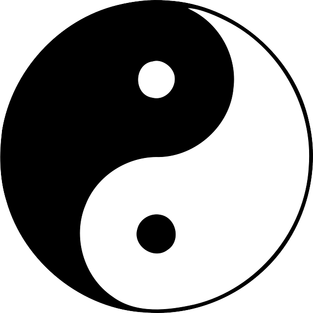 杨 阴 中国人 - 免费矢量图形
