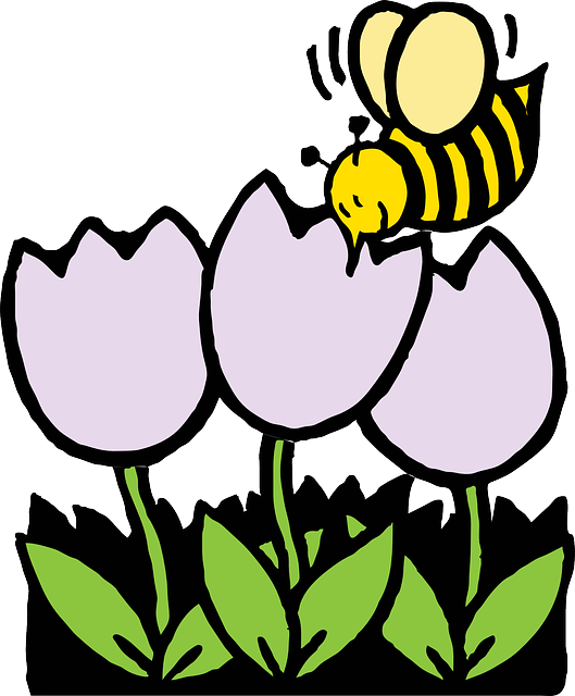 蜜蜂 花朵 白色的 - 免费矢量图形