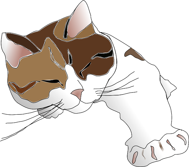 猫 印花布 猫科动物 - 免费矢量图形