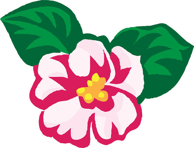 花朵 非洲人 紫罗兰 - 免费矢量图形