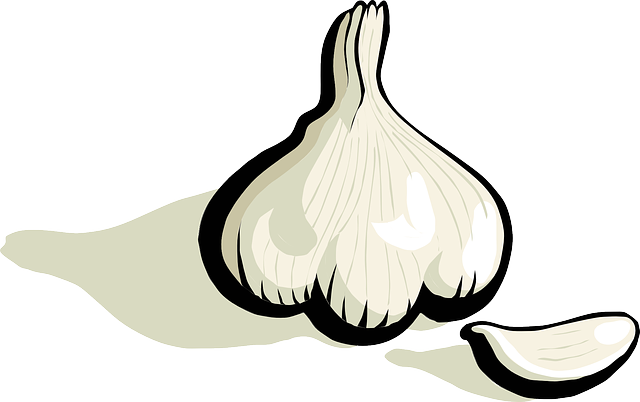 大蒜 植物 蔬菜 - 免费矢量图形