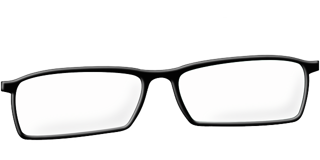眼镜 规格 透明的 - 免费矢量图形