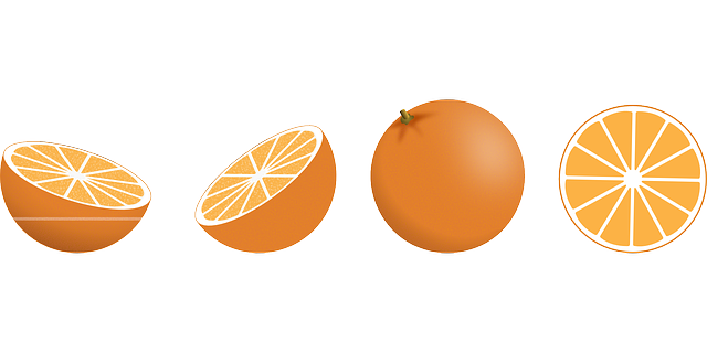 橙子 柑橘 水果 - 免费矢量图形