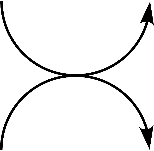 同时 箭头 半圆 - 免费矢量图形