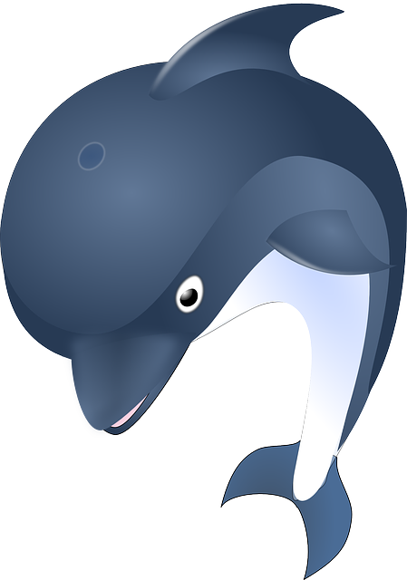 海豚 哺乳动物 动物 - 免费矢量图形