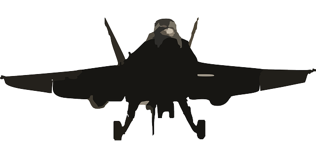 飞机 喷气式战斗机 海军 - 免费矢量图形