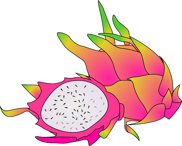 龙 水果 热带 - 免费矢量图形