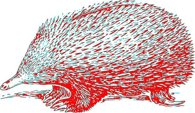 针鼹 刺猬索尼克 刺猬 - 免费矢量图形