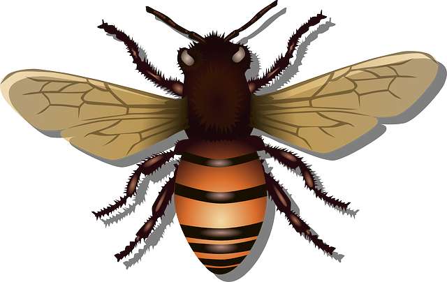 蜜蜂 昆虫 图标 - 免费矢量图形
