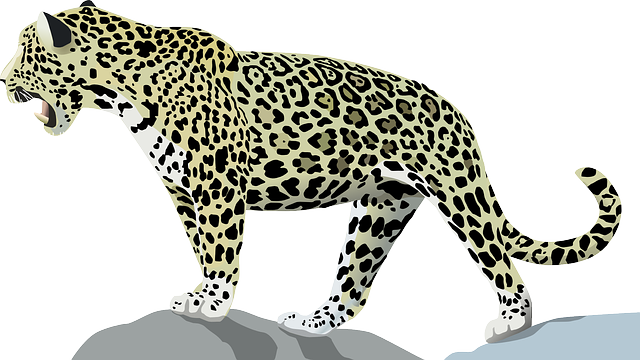 捷豹 动物 丛林 - 免费矢量图形