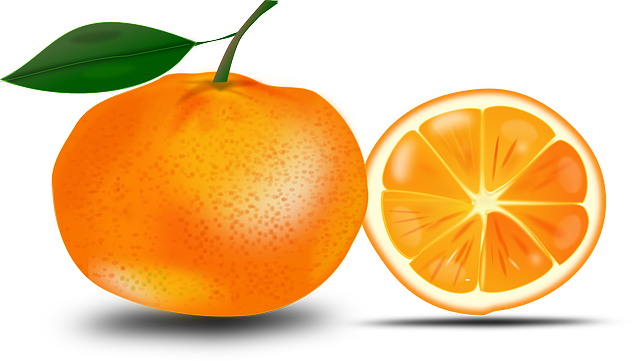 橙色的 水果 食物 - 免费矢量图形