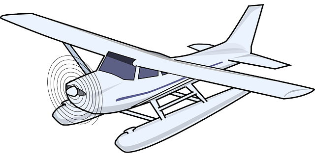 飞机 水上飞机 运输 - 免费矢量图形