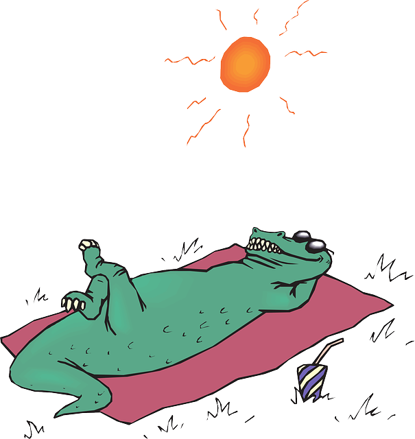 鳄鱼 晒太阳 太阳 - 免费矢量图形