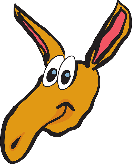 头 长 鼻子 - 免费矢量图形