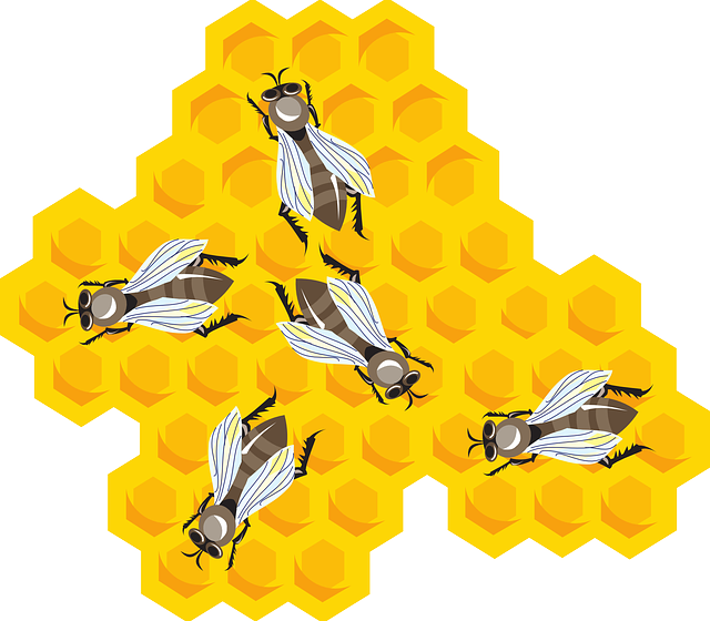 蜜蜂 蜂窝 梳子 - 免费矢量图形