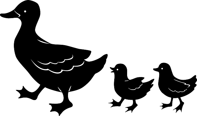 鸭 小鸡 母亲 - 免费矢量图形
