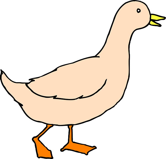 鸭 步行 翅膀 - 免费矢量图形