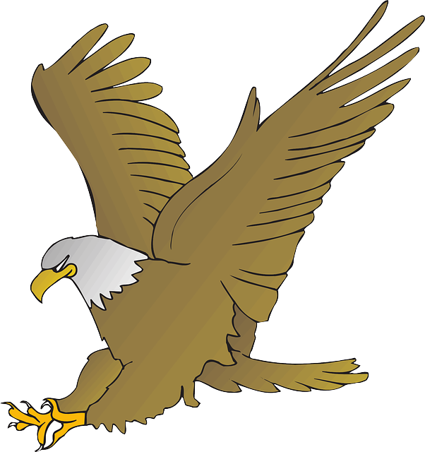 鹰 动物 喙 - 免费矢量图形