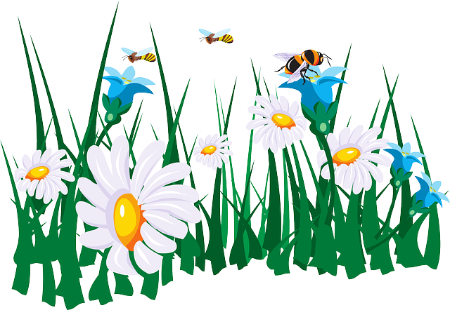 花朵 蜜蜂 花园 - 免费矢量图形