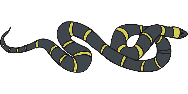 蛇 黑色的 黄色 - 免费矢量图形