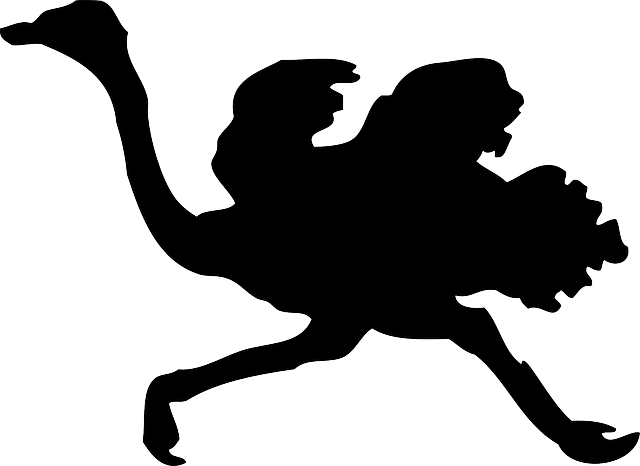 鸵鸟 鸟 动物 - 免费矢量图形