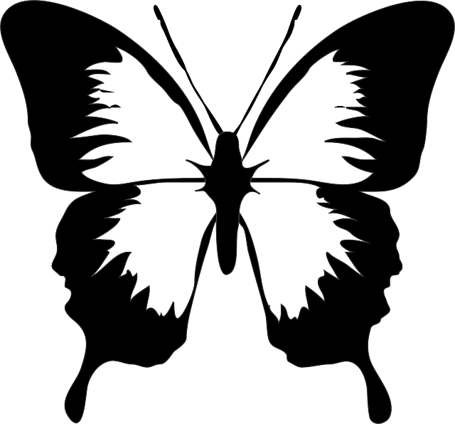 蝴蝶 昆虫 翅膀 - 免费矢量图形
