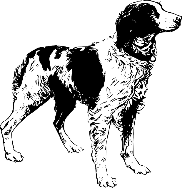 狗 宠物 动物 - 免费矢量图形
