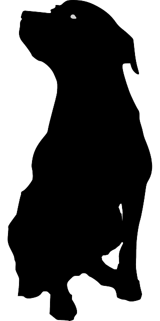 狗 宠物 动物 - 免费矢量图形