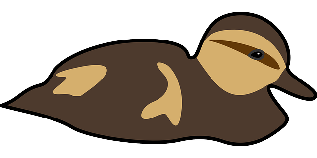 鸭 小鸭子 自然 - 免费矢量图形