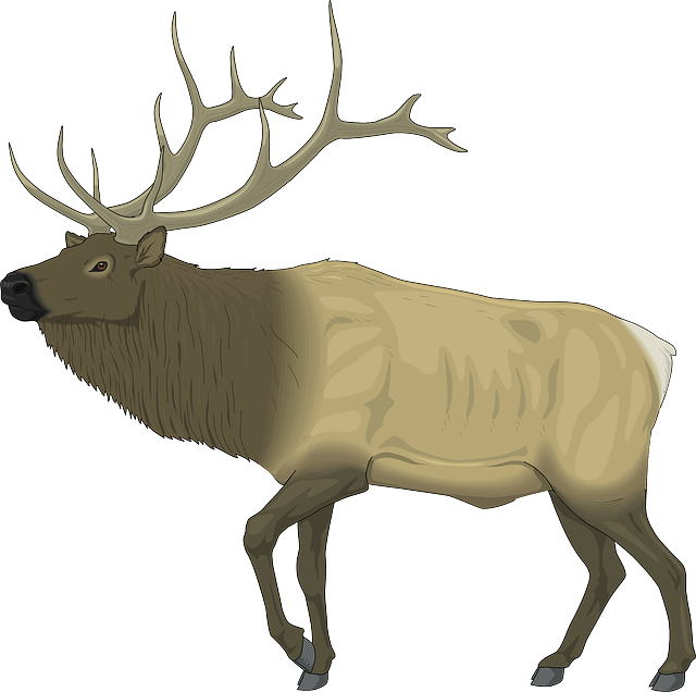麋鹿 动物 野生动物 - 免费矢量图形