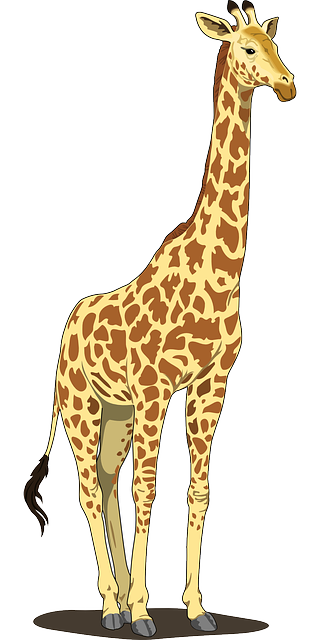 长颈鹿 高的 长颈 - 免费矢量图形