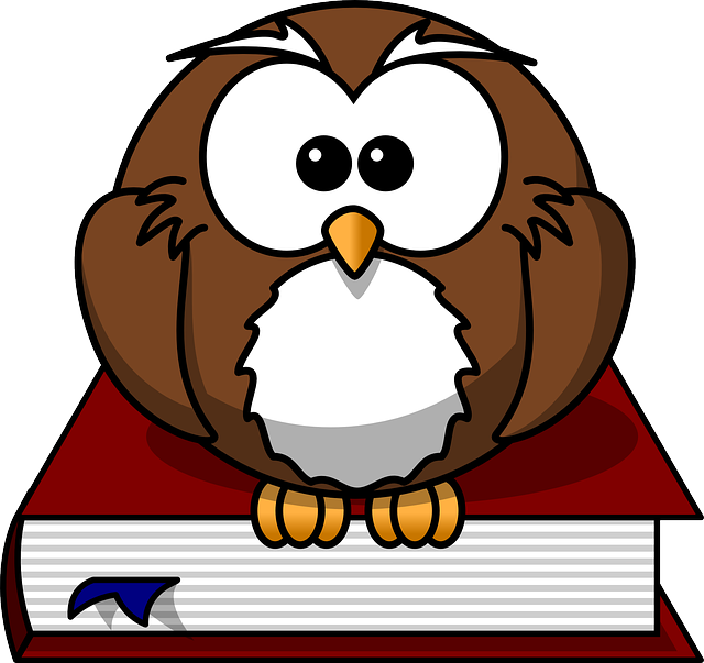 猫头鹰 鸟 书 - 免费矢量图形