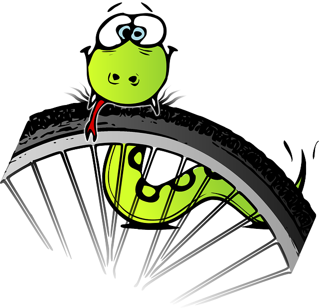 蛇 自行车 车轮 - 免费矢量图形