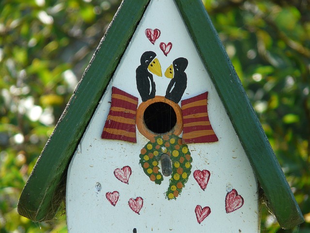 鸟巢 喂鸟器 喂食场所 - 上的免费照片