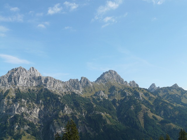 阿尔高阿尔卑斯山 阿尔卑斯山 山 - 上的免费照片
